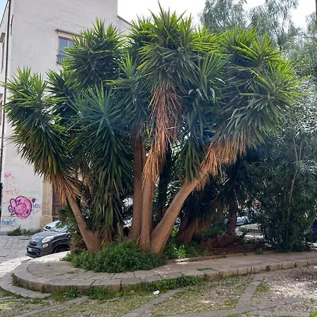 Pasetti House Apartment *