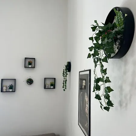 Pasetti House * Palermo